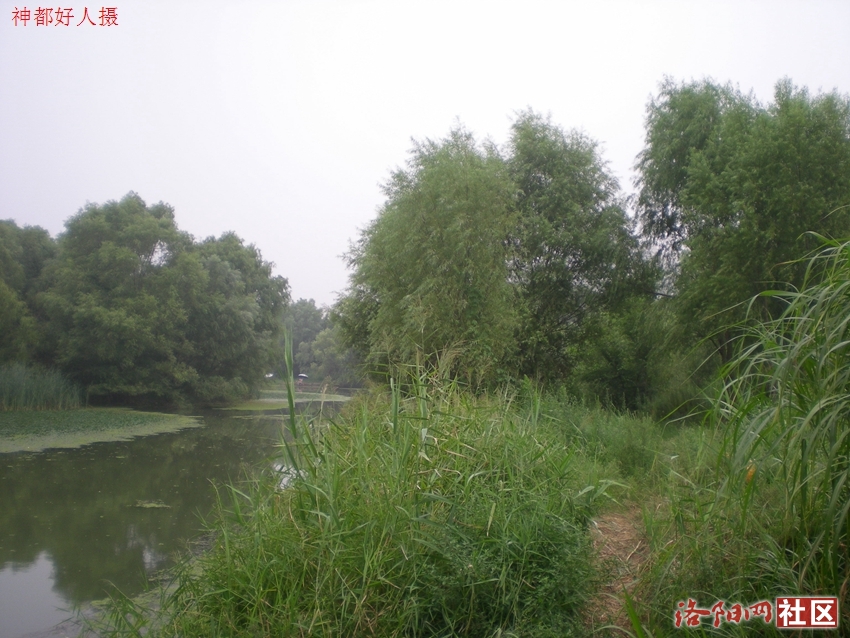 DSCN4124.JPG
