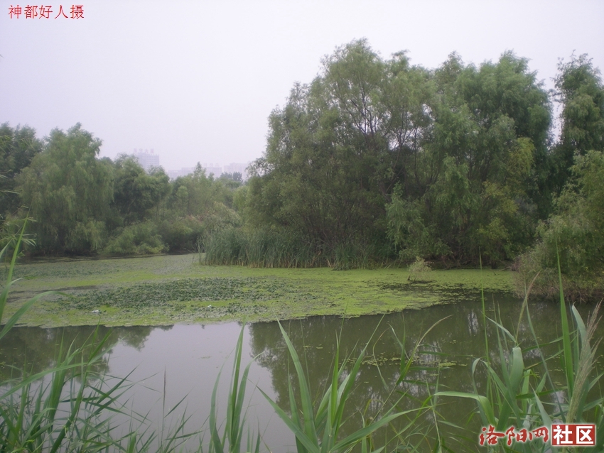 DSCN4125.JPG