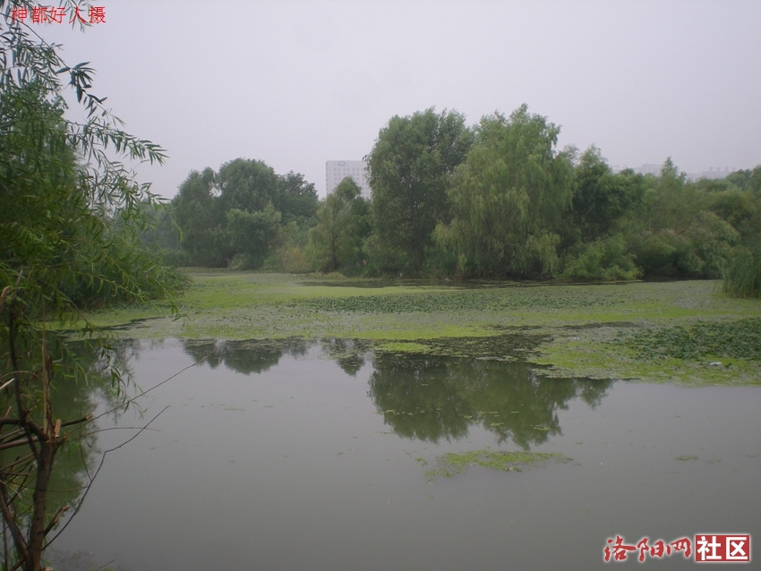 DSCN4127.JPG