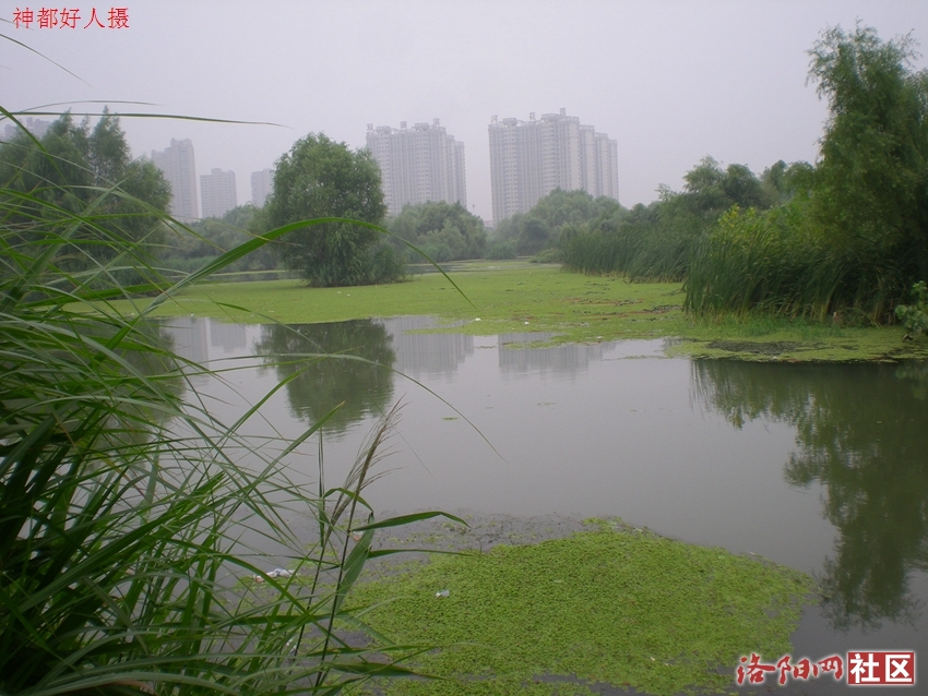 DSCN4128.JPG