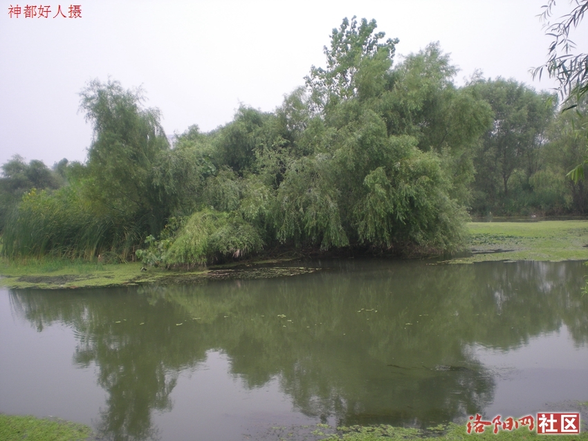 DSCN4129.JPG