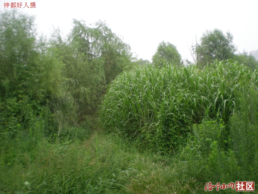 DSCN4130.JPG