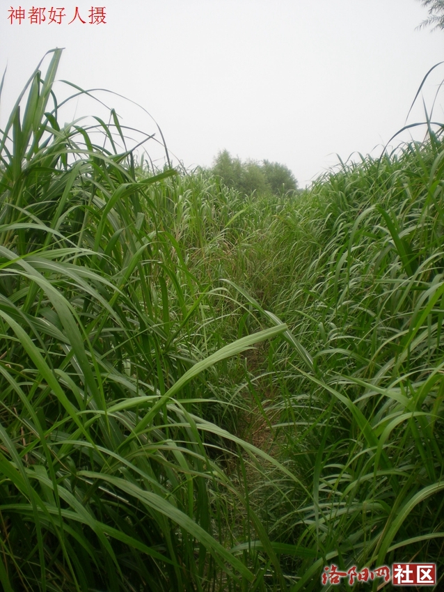DSCN4133.JPG