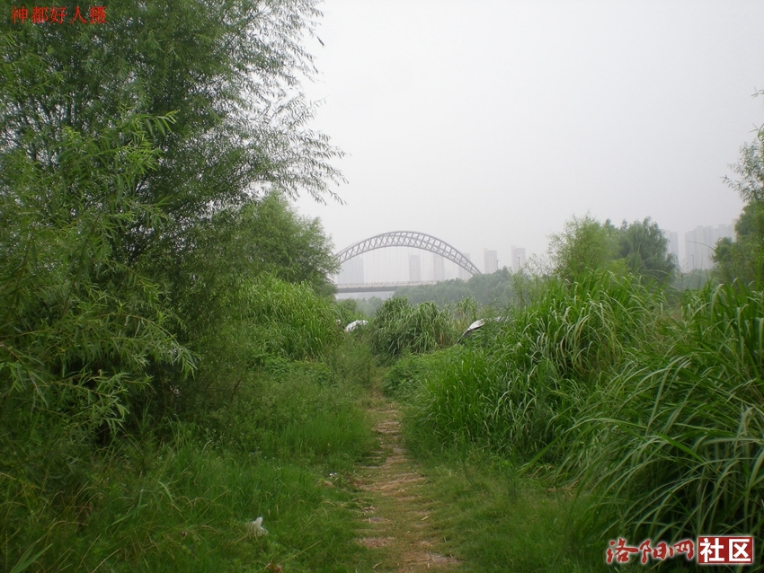 DSCN4131.JPG