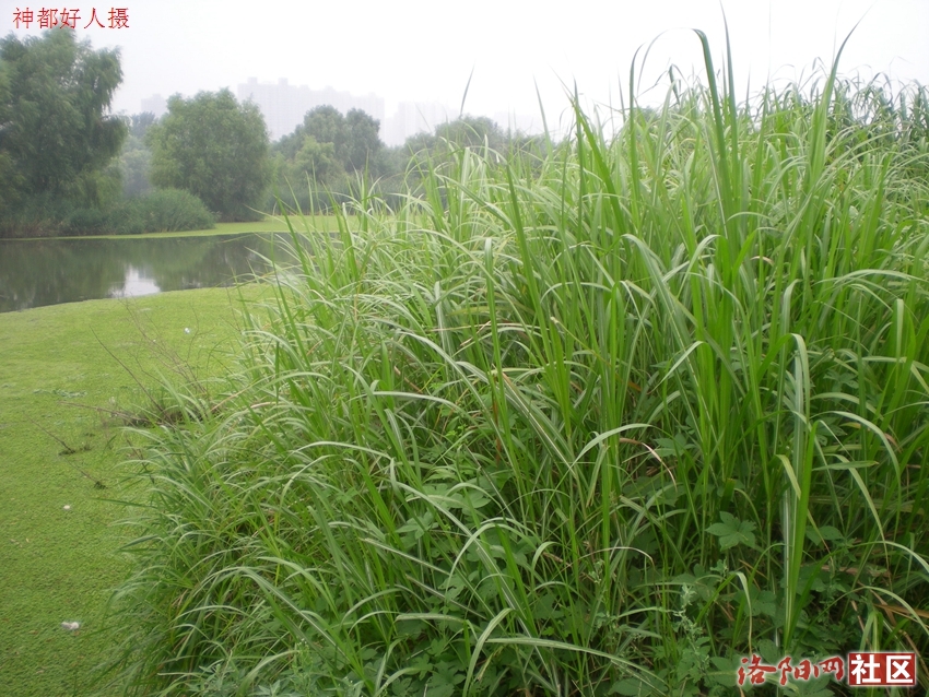 DSCN4134.JPG