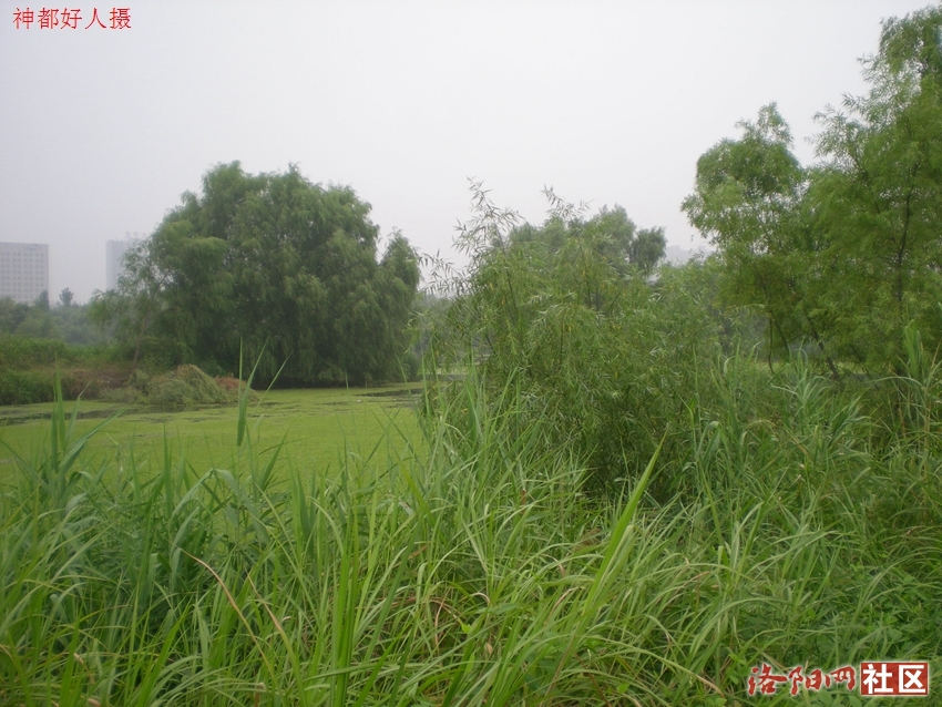 DSCN4135.JPG