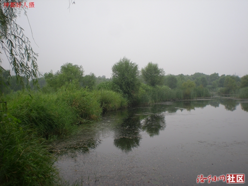 DSCN4136.JPG
