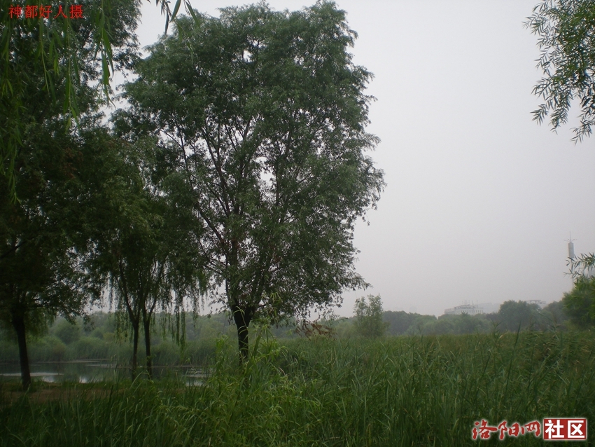 DSCN4137.JPG