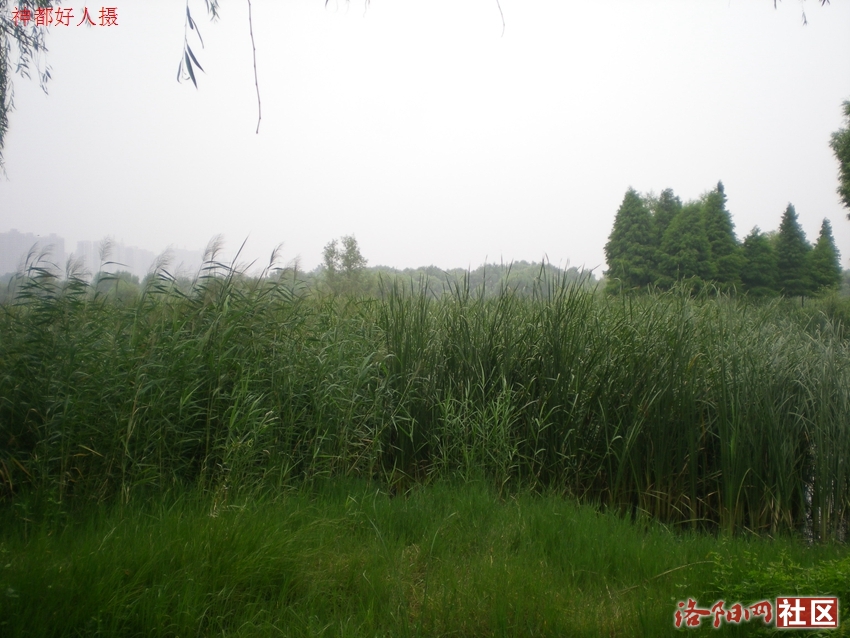 DSCN4138.JPG