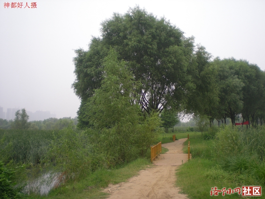 DSCN4140.JPG