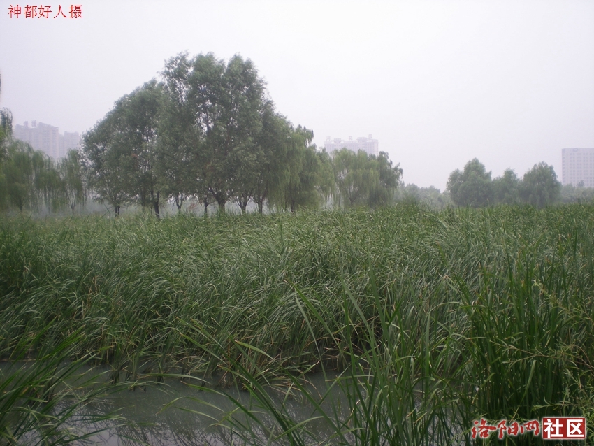 DSCN4141.JPG