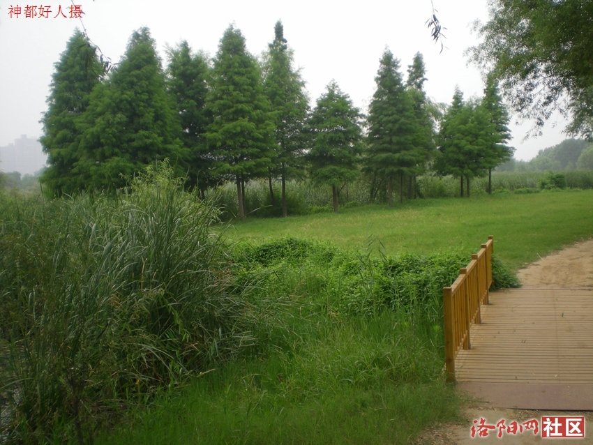 DSCN4142.JPG