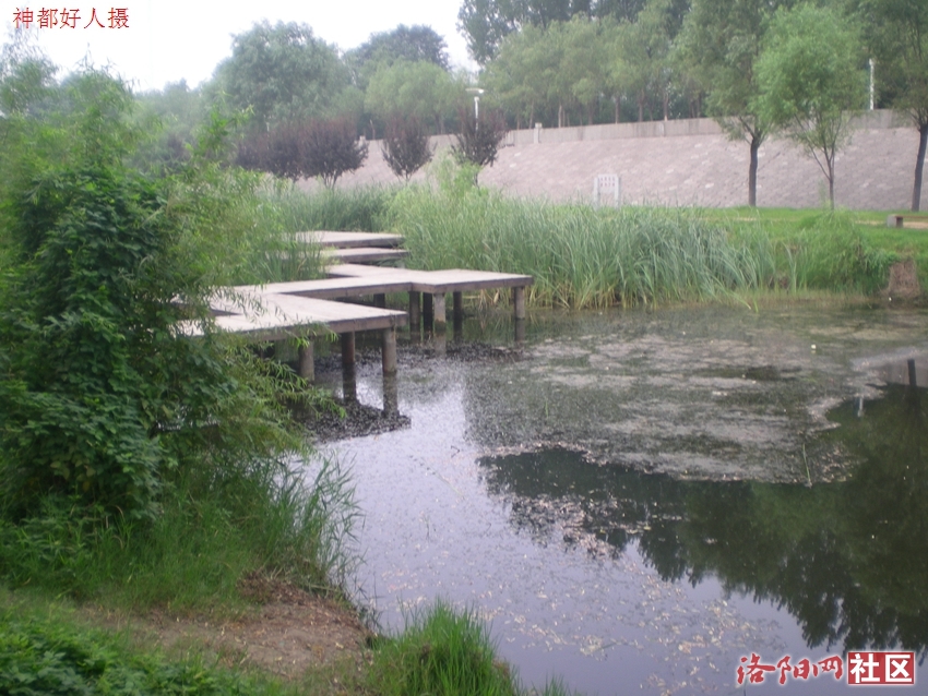 DSCN4144.JPG