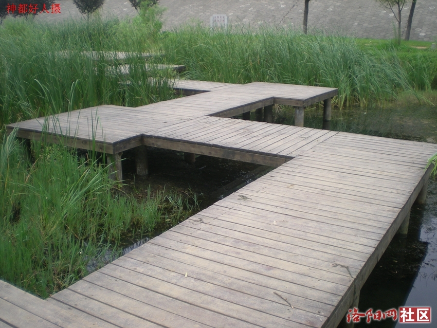 DSCN4145.JPG