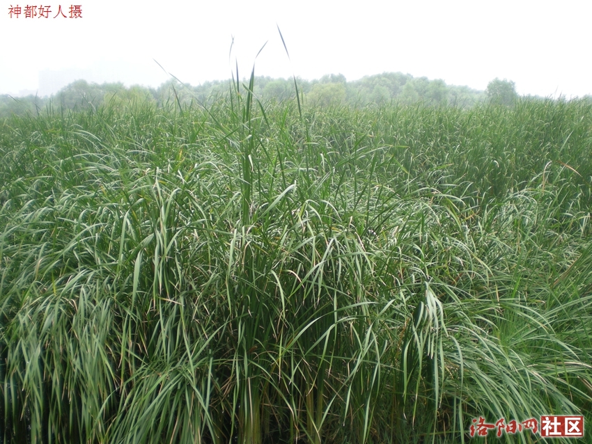 DSCN4146.JPG