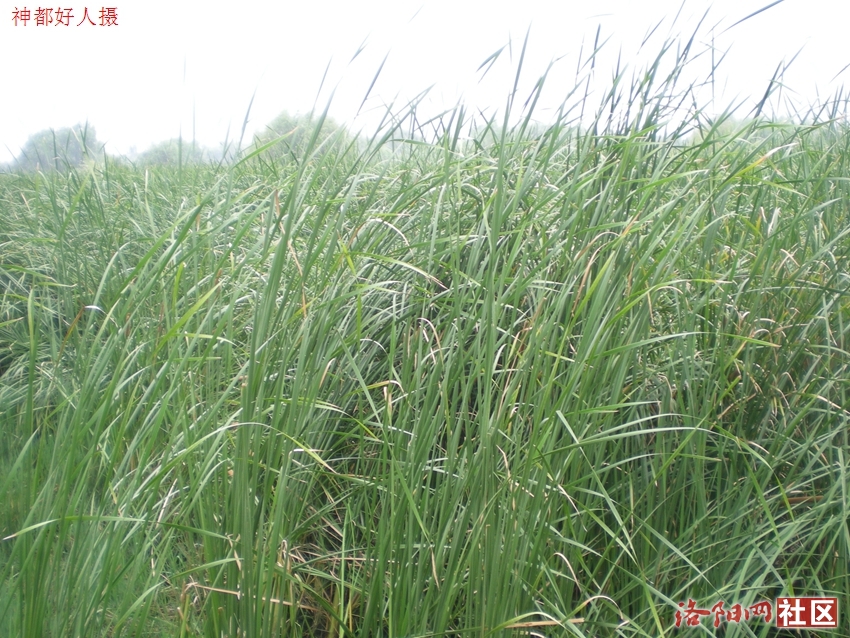 DSCN4150.JPG