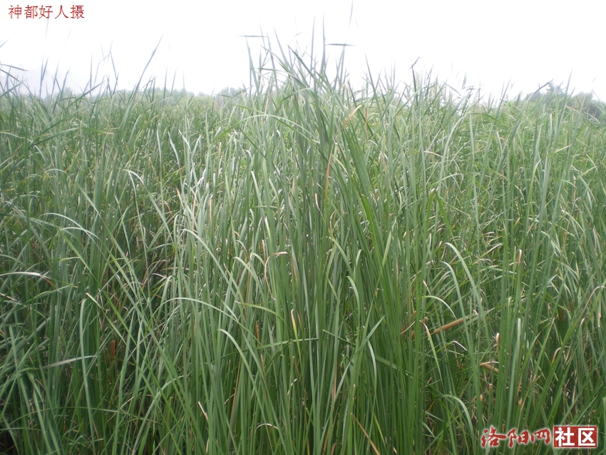 DSCN4149.JPG