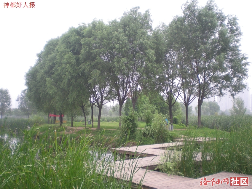 DSCN4151.JPG