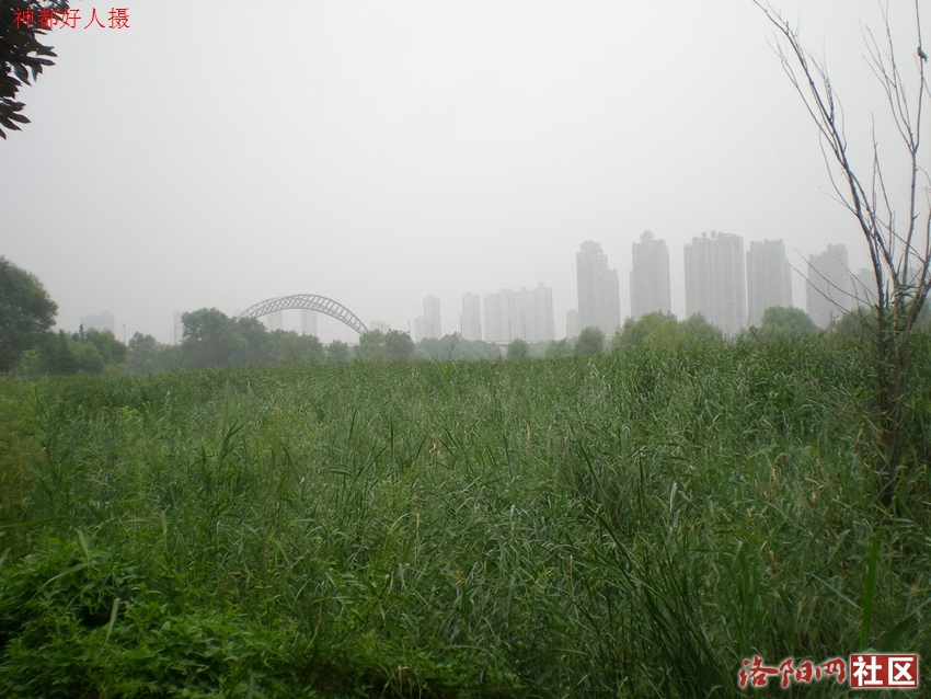 DSCN4153.JPG