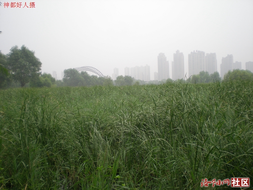 DSCN4152.JPG