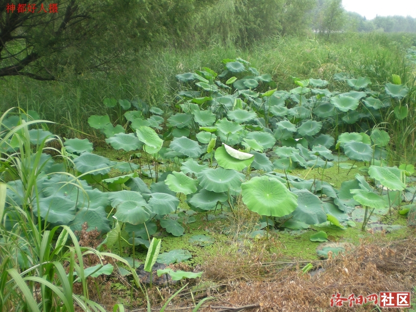 DSCN4154.JPG