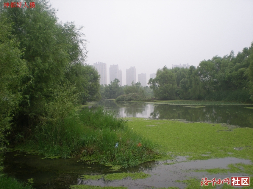 DSCN4156.JPG