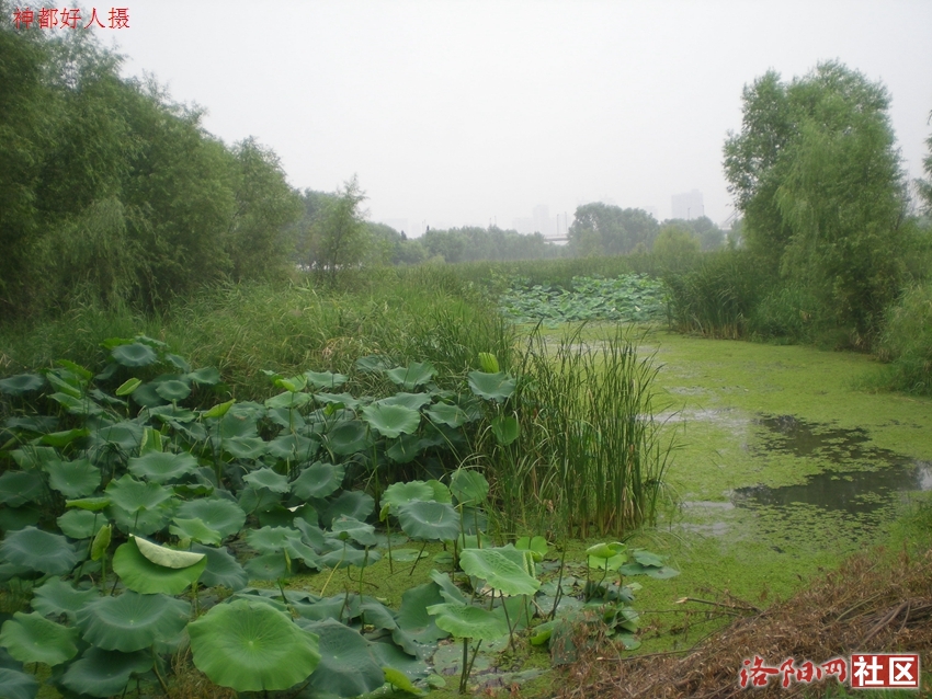 DSCN4155.JPG