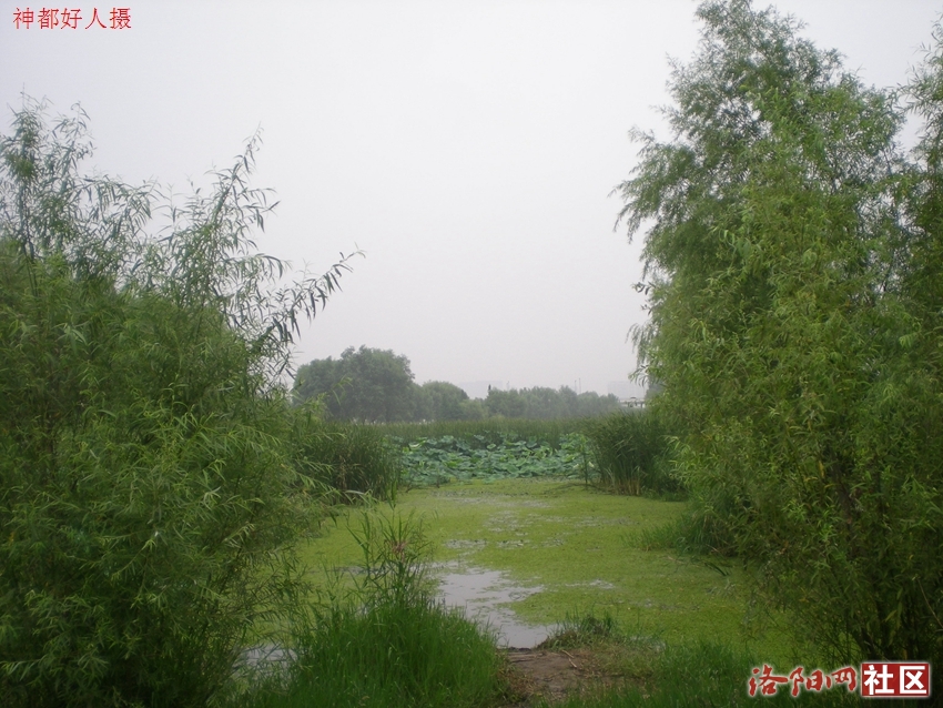 DSCN4157.JPG