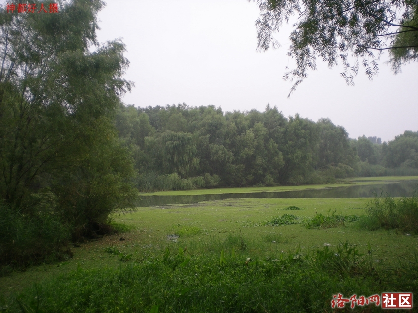 DSCN4160.JPG