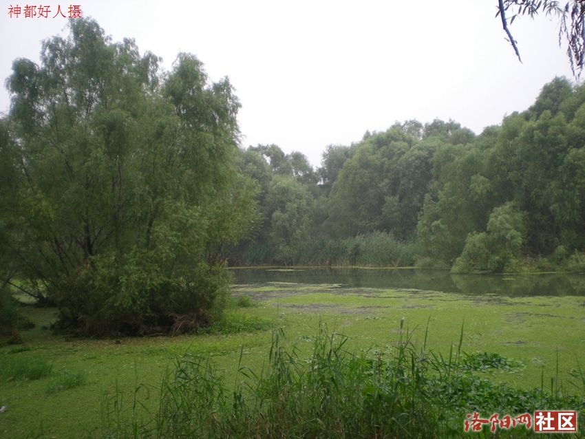 DSCN4161.JPG