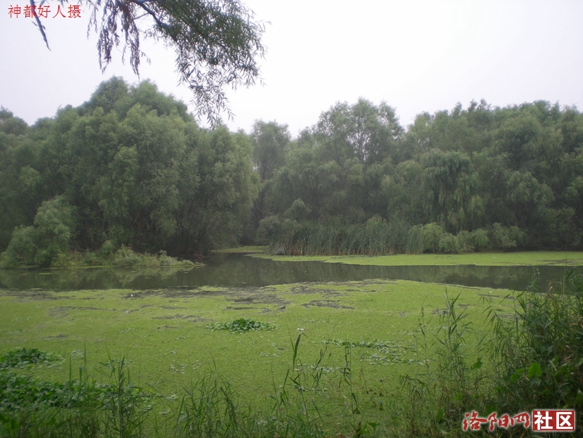 DSCN4162.JPG