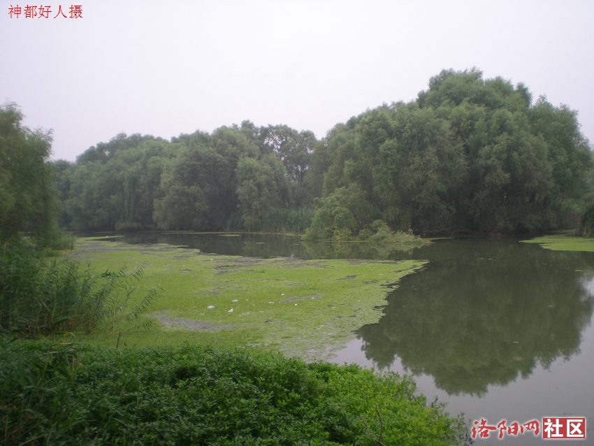 DSCN4164.JPG