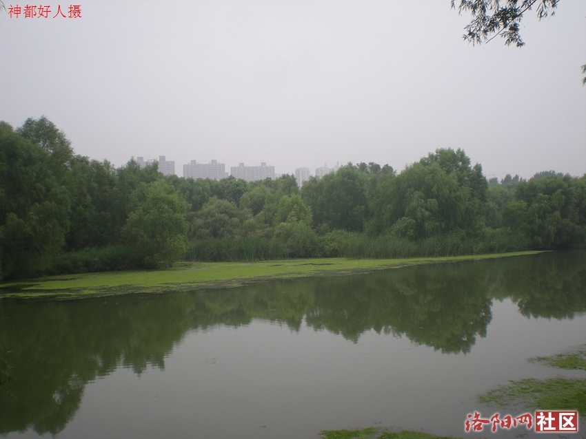 DSCN4166.JPG