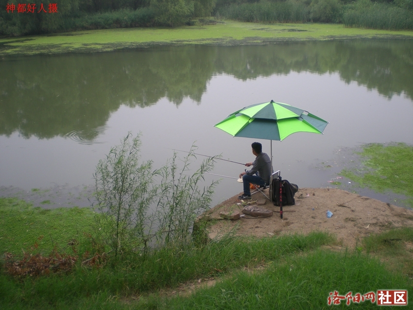 DSCN4167.JPG