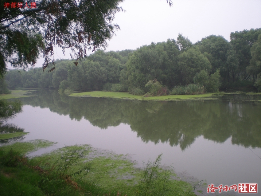 DSCN4168.JPG