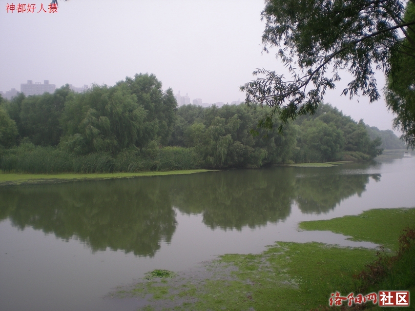 DSCN4169.JPG