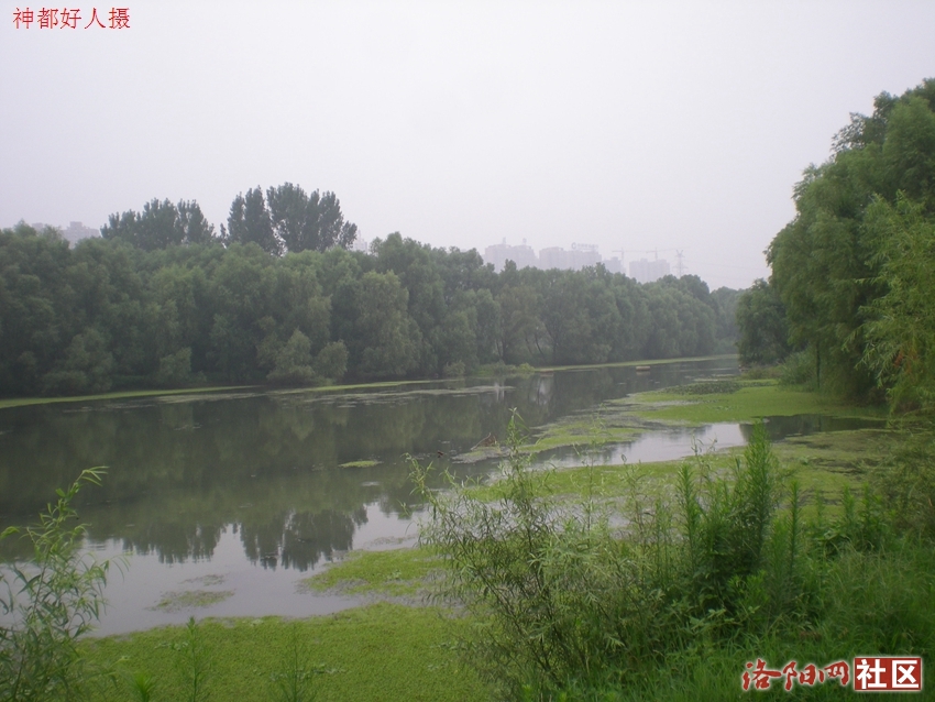 DSCN4173.JPG