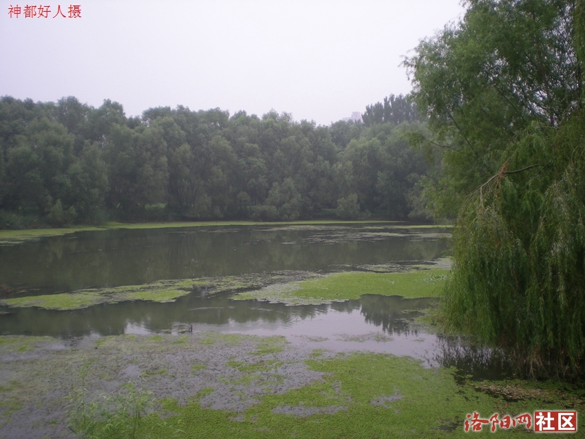DSCN4175.JPG
