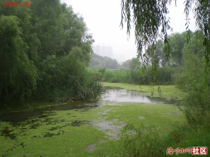 DSCN4176.JPG