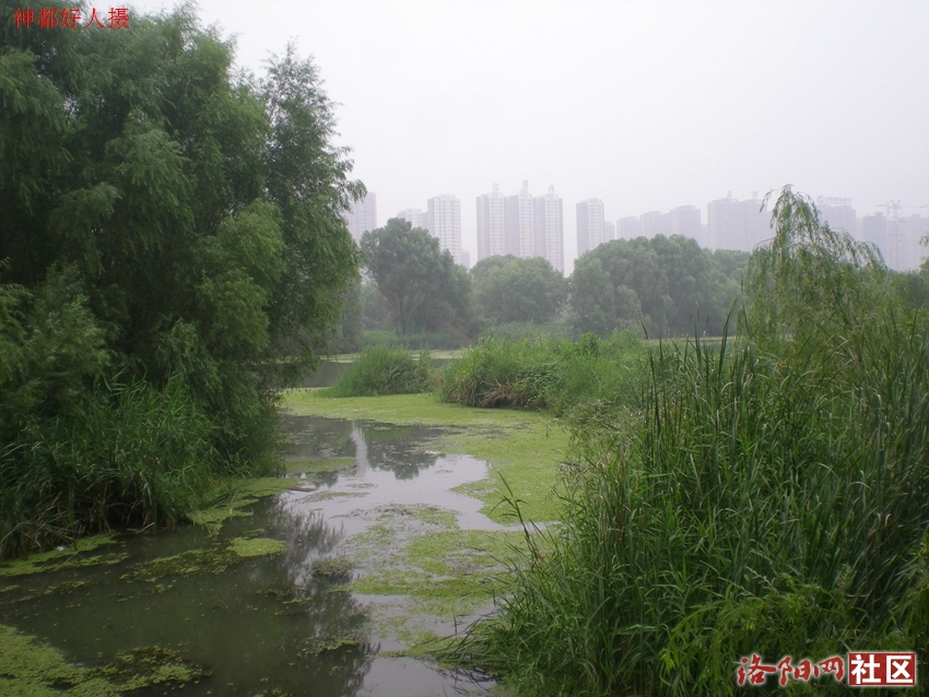 DSCN4177.JPG