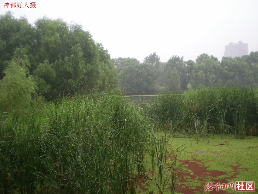 DSCN4178.JPG
