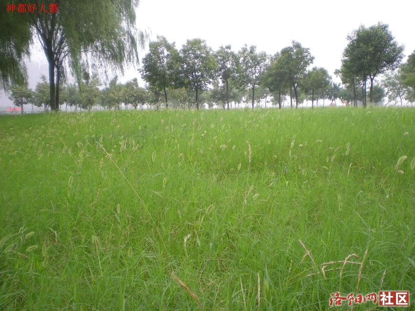 DSCN4181.JPG