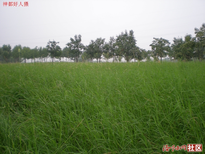 DSCN4182.JPG