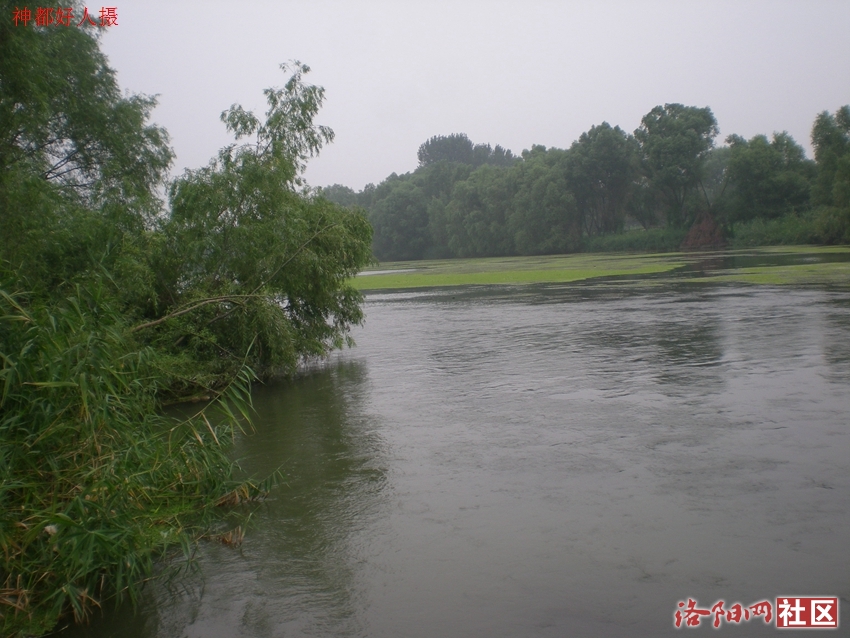 DSCN4183.JPG