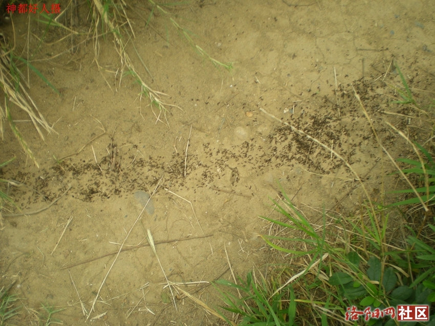DSCN4185.JPG
