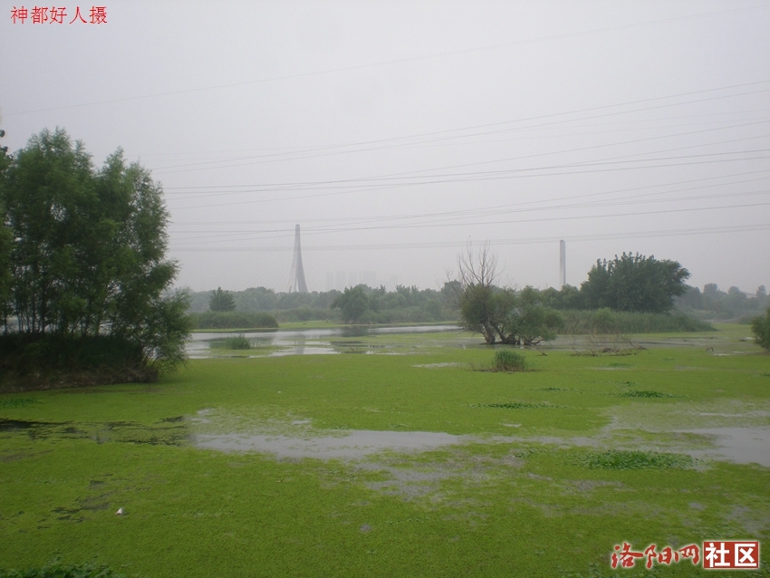 DSCN4189.JPG
