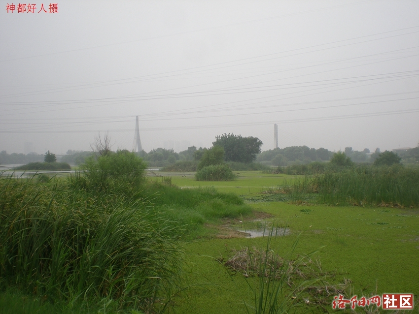 DSCN4190.JPG