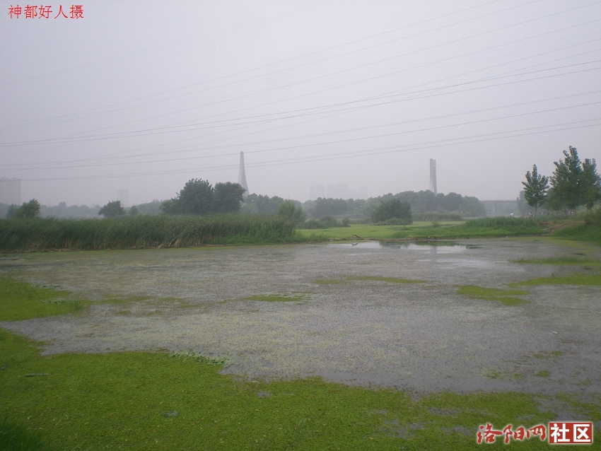 DSCN4191.JPG