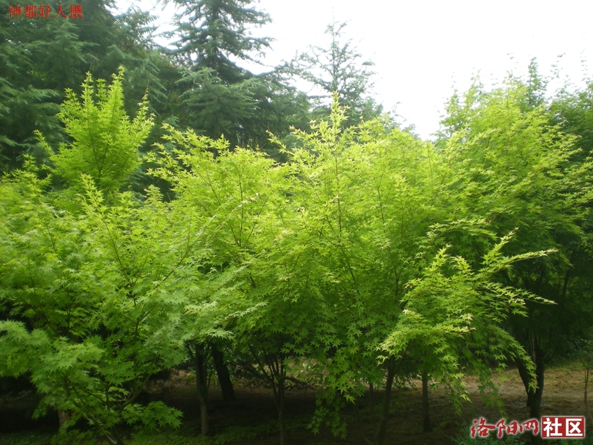 DSCN4194.JPG