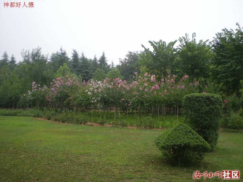 DSCN4195.JPG